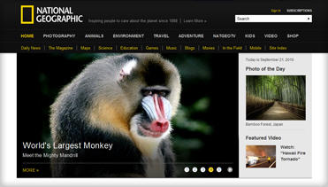 【Linux系统版】开源免费的ddos攻击在哪能买到