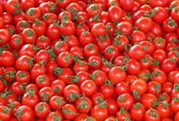 免费ddos在线攻击