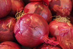 攻击网站的方法