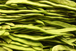 ddos攻击ip软件下载