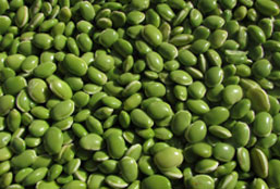 小黑ddos压力测试平台